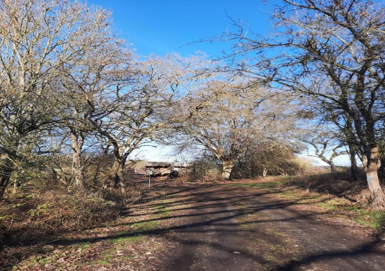 Apartamento Exklusive Naturoase Direkt Am Ars Natura Wanderweg Mit Panoramablick Auf Melsungen Exterior foto