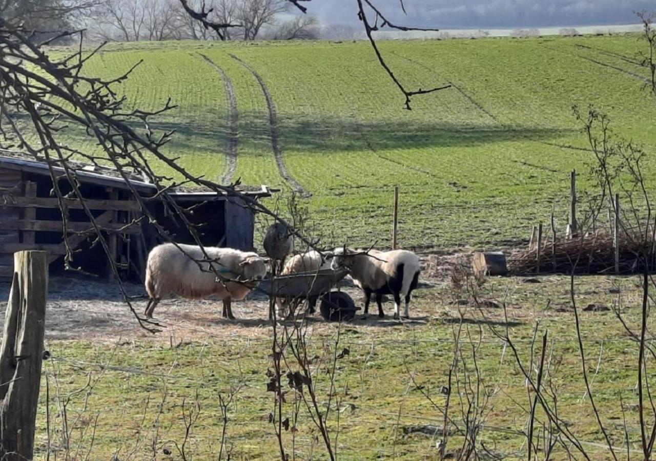 Apartamento Exklusive Naturoase Direkt Am Ars Natura Wanderweg Mit Panoramablick Auf Melsungen Exterior foto